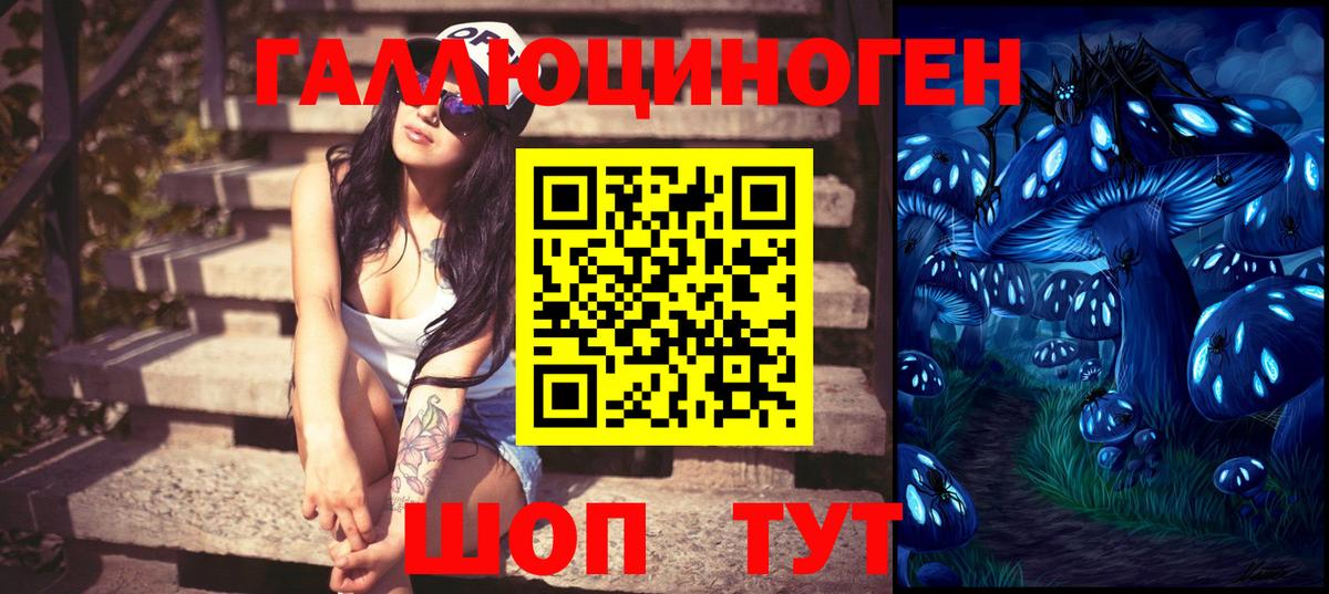 Галлюциногенные грибы мицелий  Вход с VPN  Елизово 
