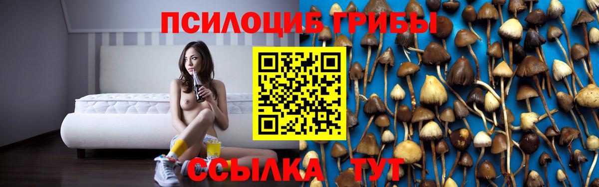 Галлюциногенные грибы Psilocybine cubensis Елизово