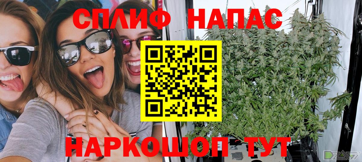 Канабис тримм  Шишки марихуана марихуана  Бошки Шишки White Widow  Вход с VPN  Елизово  Бошки марихуана Ganja 